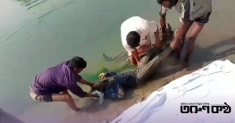 দিনাজপুরে আত্রাই নদী থেকে দুই অজ্ঞাত ব্যক্তির লাশ উদ্ধার